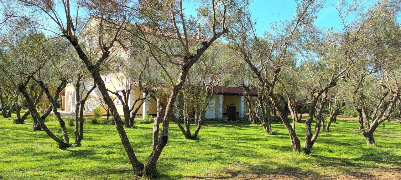 דירות Antonios Olive Garden Acharavi Kerkyra מראה חיצוני תמונה