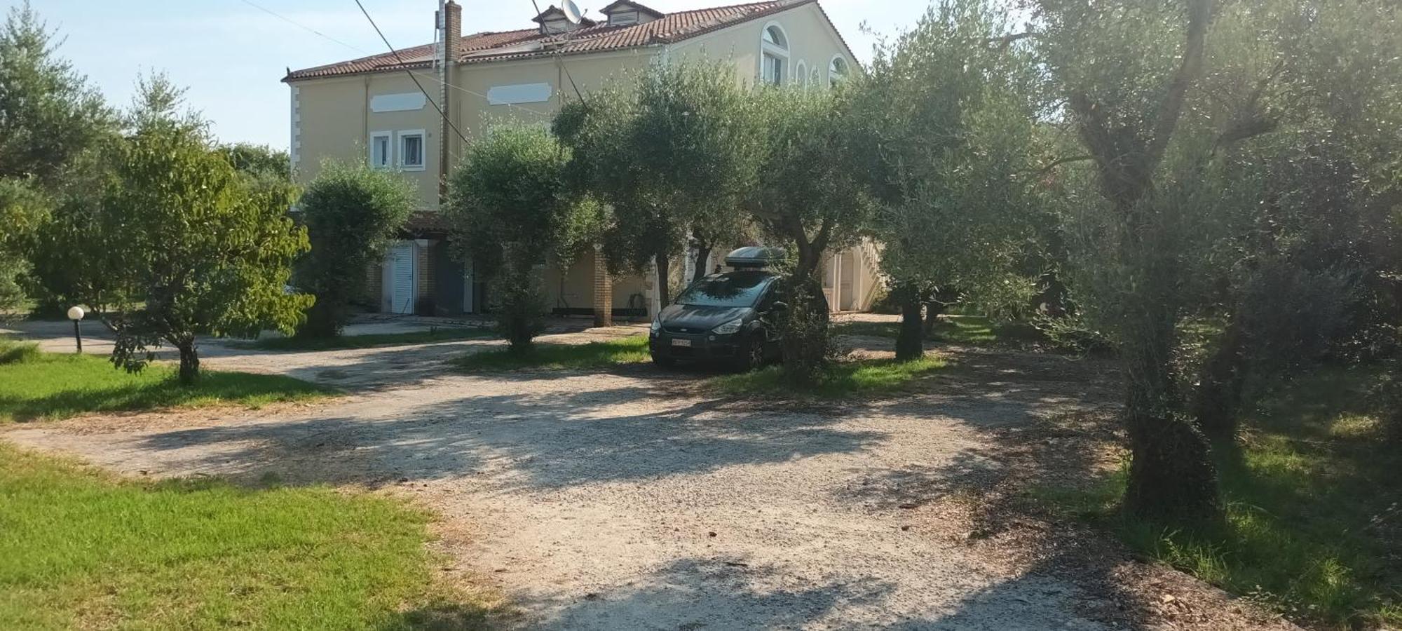 דירות Antonios Olive Garden Acharavi Kerkyra מראה חיצוני תמונה